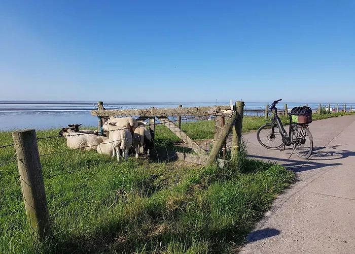 N5 Eingezaeuntes Mit Ebenerdiger Dusch By Interhome Сasa de vacaciones